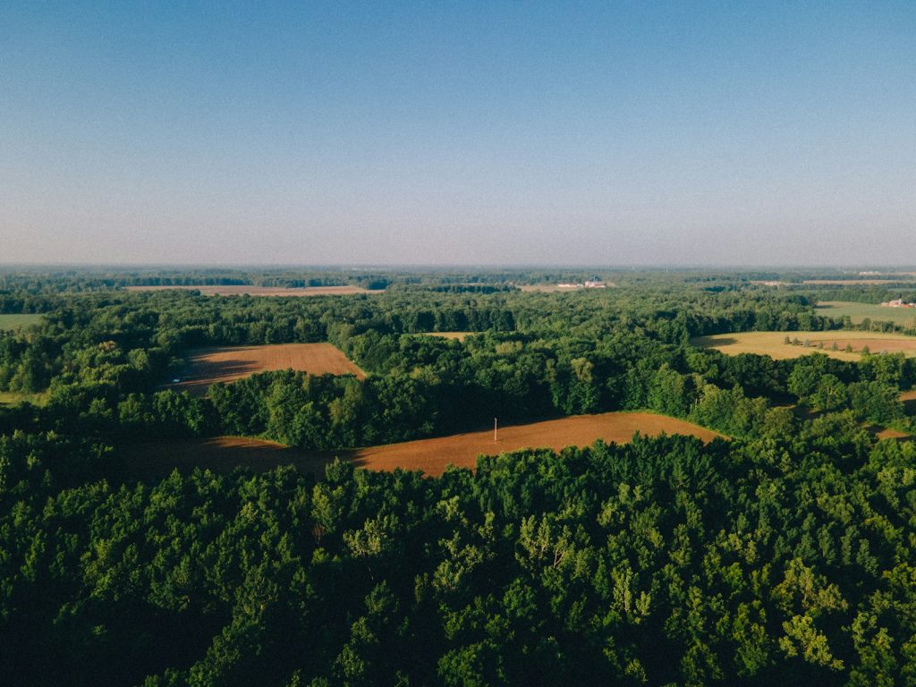 terrain pastille : ce qu'il faut savoir avant d'acheter